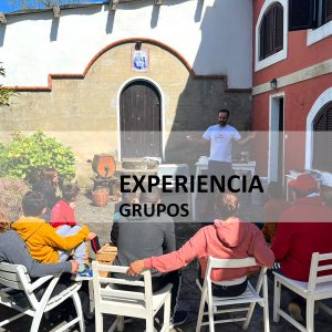 experiencia con grupos grandes