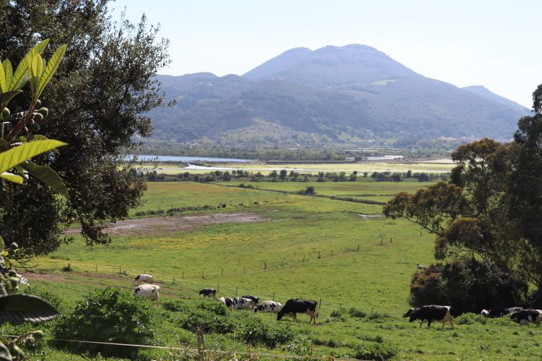 paisaje de las praderas y marisma