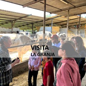 foto de la cuadra