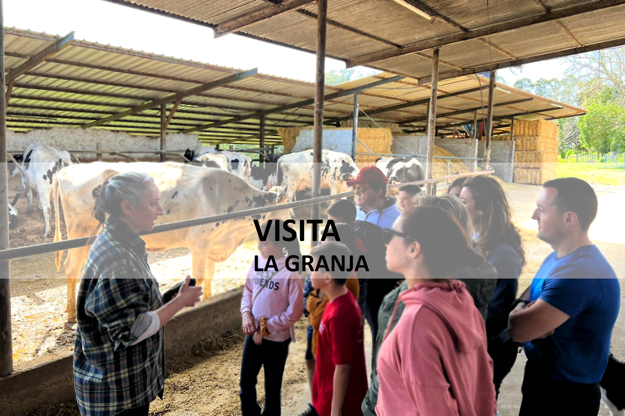 foto de la cuadra