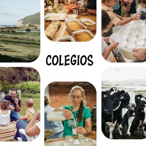 Colegios e Institutos