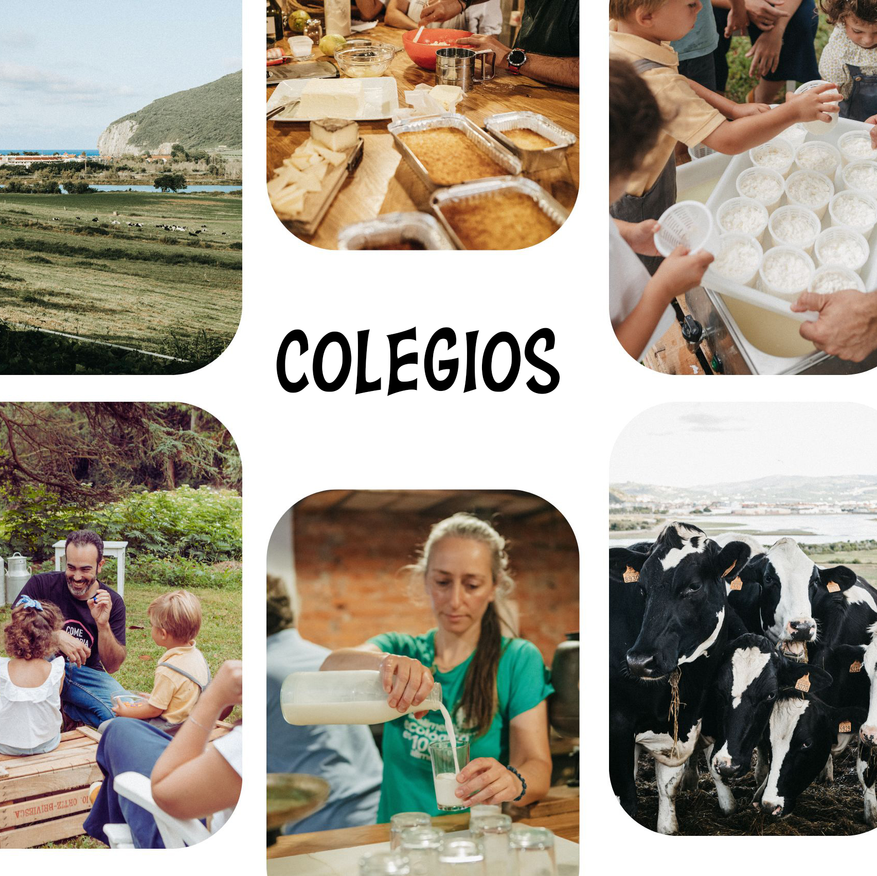 Colegios e Institutos